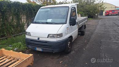 Furgone Fiat Ducato