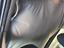 Immagine 18