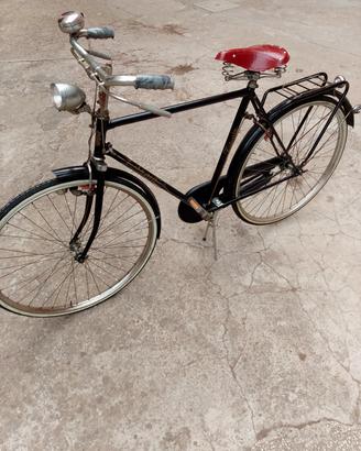 bici Titania