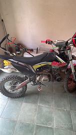 Pit bike Pbs 140cc
