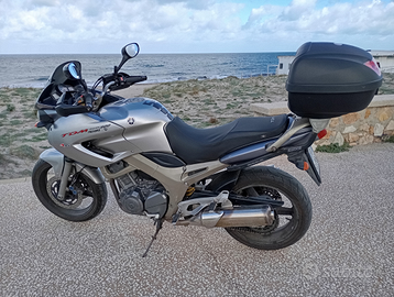 Yamaha tdm 900 anno2006
