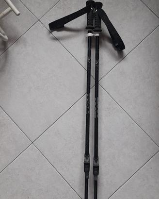 bacchette scialpinismo