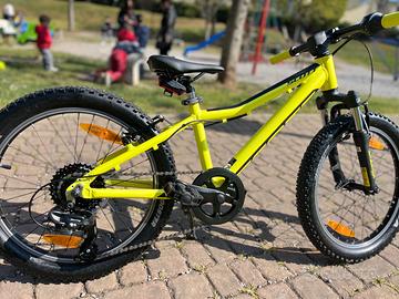 Scout 20 pollici