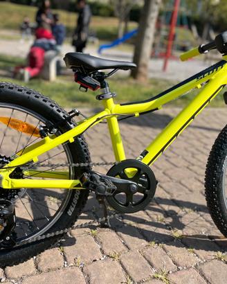 Scout 20 pollici