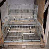 3 Gabbie per canarini  cocorite 