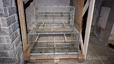 3 Gabbie per canarini  cocorite 