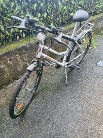 Bicicletta da donna
