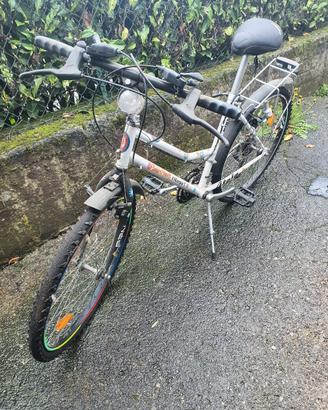 Bicicletta da donna