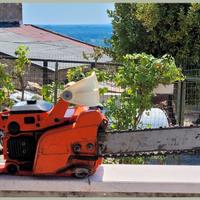 Echo 500VL motosega da sistemare