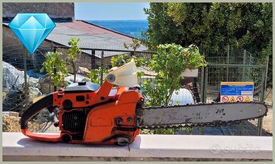 Echo 500VL motosega da sistemare