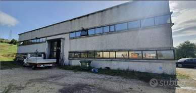 Afffittasi capannone in zona artigianale