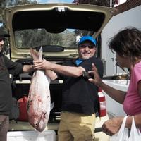 Varia attrezzatura edile