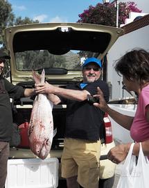 Varia attrezzatura edile