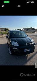 Fiat panda 2017