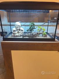 Acquario Amtra Tecnic 60 litri