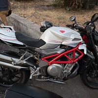 Brutale 910 Tamburini