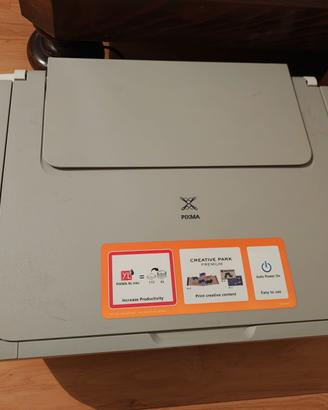 Stampante multifunzione Canon Mg2450 con cartucce