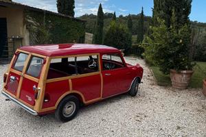 mini minor t