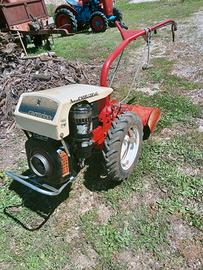 MOTOCOLTIVATORE CARRARO DIESEL 