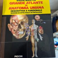 Grande atlante di anatomia umana Vigue martin