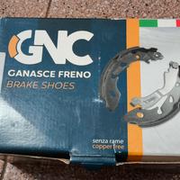 Ganasce Posteriori Citroen