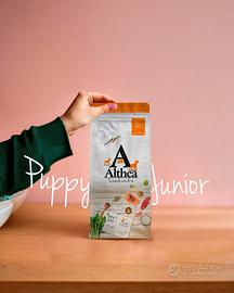 Althea  Monoproteico Hipoallergenico kg 14