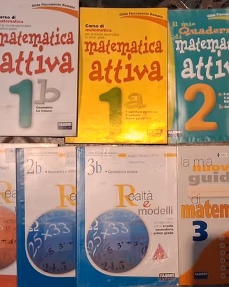 Lotto libri di Matematica ZanichelliFabbriPetrini