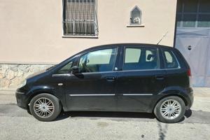 lancia musa