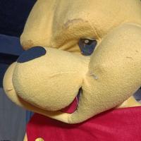 Mascotte Winni the poo