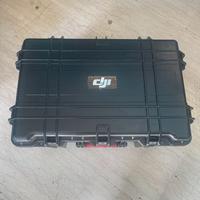 DJI Ronin (Prima versione) con case incluso