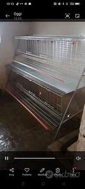 Gabbia per galline
