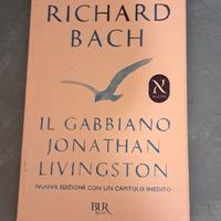 Il Gabbiano Jonathan Livingston