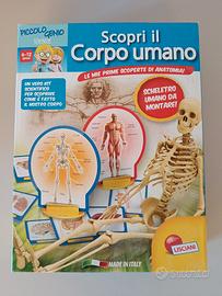 Scopri il Corpo Umano Lisciani