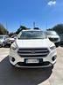 ford-kuga-1-5-tdci-120-cv-s-s-2wd-business