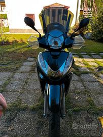 SH 300 2011