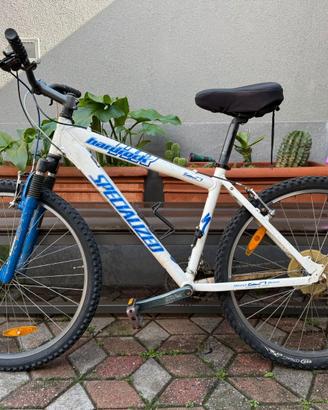 SPECIALIZED HARDROCK 26 AMMORTIZZATA