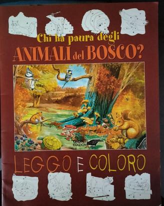 Libro per bambini