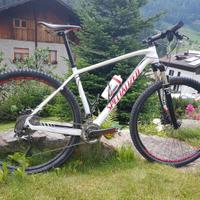 Mtb Specialized Stumpjumper