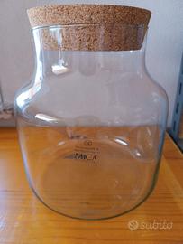 vaso per terrario