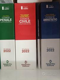 kit codici Nel diritto Editore 2022 più addenda