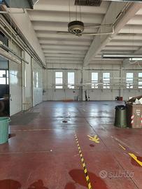 Capannone zona industriale mancasale