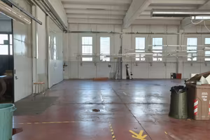 Capannone zona industriale mancasale