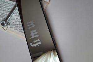 Copri specchietto centrale BMW con incisione