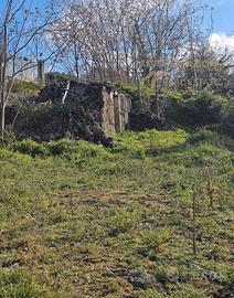 Terreno Panoramico Con Rudere