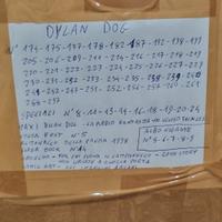 Collezione incompleta Dilan Dog