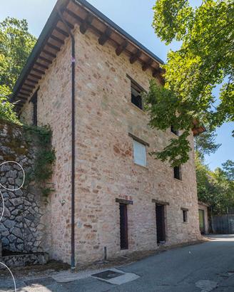 Rustico/Casale/Corte Poggiodomo [FC180VRG]