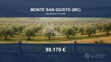 Immobile in asta di 9090 m² a Monte San Giusto