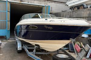 Sea Ray 24 sse