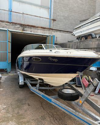 Sea Ray 24 sse