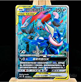 zoroark & greininja Gx-tagteam-pokemon 